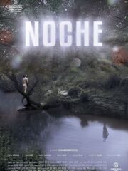 Night видео