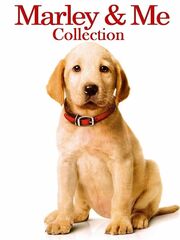 Марли и я видео