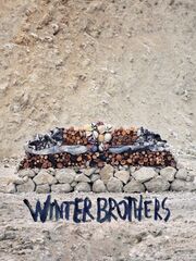 Зимние братья