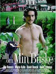 Все о моём кусте