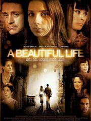 Красивая жизнь [2008]