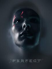 Совершенный [2019]