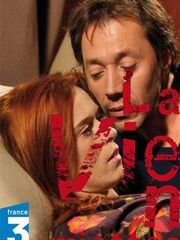 Жизнь вдребезги