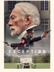 Исключение видео