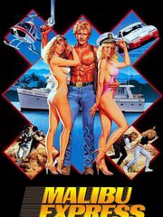 Малибу-экспресс