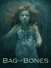 Мешок с костями