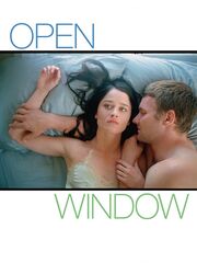 Открытое окно видео