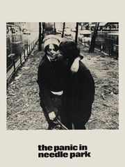 Паника в Нидл-парке