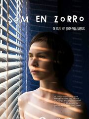 Такой, как Зорро