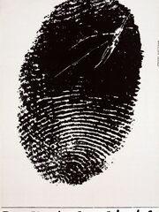 Кролик — это я