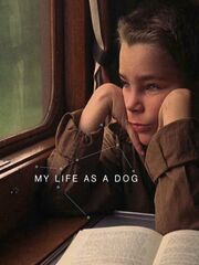 Моя собачья жизнь видео