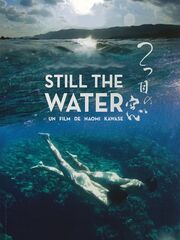 Тихие воды [2014]