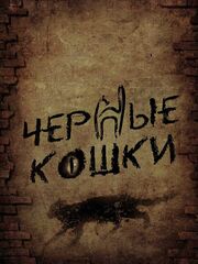 Черная кошка