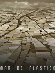 Пластиковое море