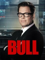 Булл