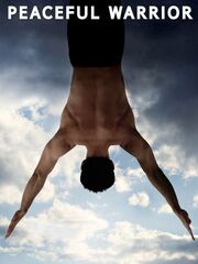 Мирный воин