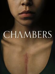 Камеры моего сердца