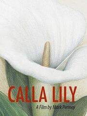 Калла Лили