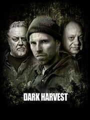 Последний урожай