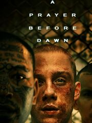 Бои без правил