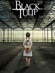 Чёрный тюльпан