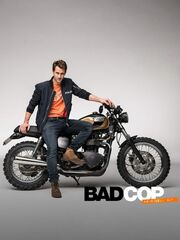 Плохой хороший полицейский