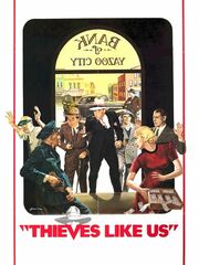 Воры как мы