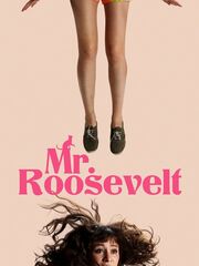 Мистер Рузвельт