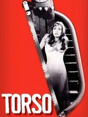 Торсо