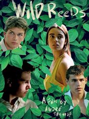 Дикий тростник