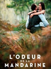 Запах мандарина