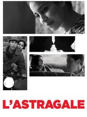 Астрагал видео