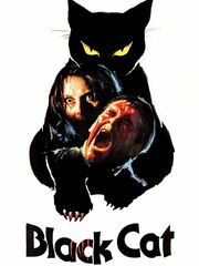 Черный кот