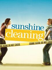 Чистка до блеска