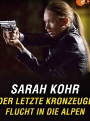 Последний свидетель [2014]