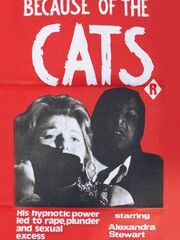 Из-за кошек