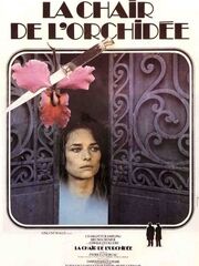 Плоть орхидеи