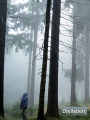 Драйлебен: Что-то лучшее, чем смерть