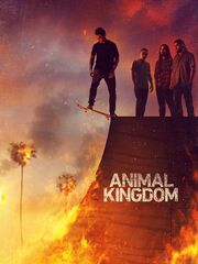 По волчьим законам