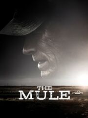 Наркокурьер