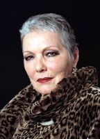 Виллеке ван Аммельрой