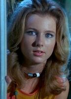 Эли Галлеани