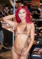 Аджа Чачанси