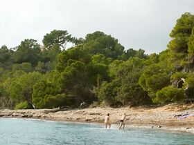 Франциска Вайс голая, Юлия Франц Рихтер голая – The Diver Inside (2019) #2