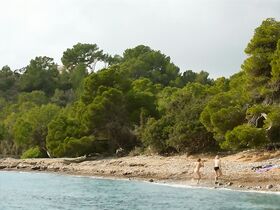 Франциска Вайс голая, Юлия Франц Рихтер голая – The Diver Inside (2019) #3