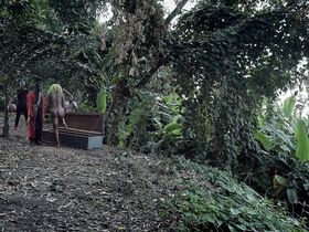 Шэрон Оджа голая, Омовуми Дада голая – Журналистка (2019) #20