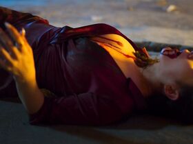 Эрендира Ибарра голая, Дайна Соледад Липароти секси – Черное пламя (2020) #24