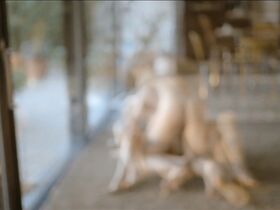 Мария Шрадер голая – Забывая себя (2014) #8