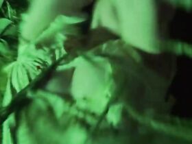 Джоан Коллинз голая – Рассказы, свидетели безумия (1973) #1