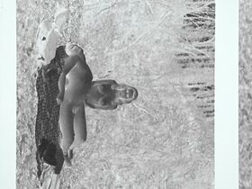 Райли Кио голая – Дьявол всегда здесь (2020) #10